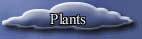 Click here to go to the Plants Page